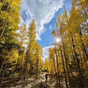 Meet your Posher, Carter